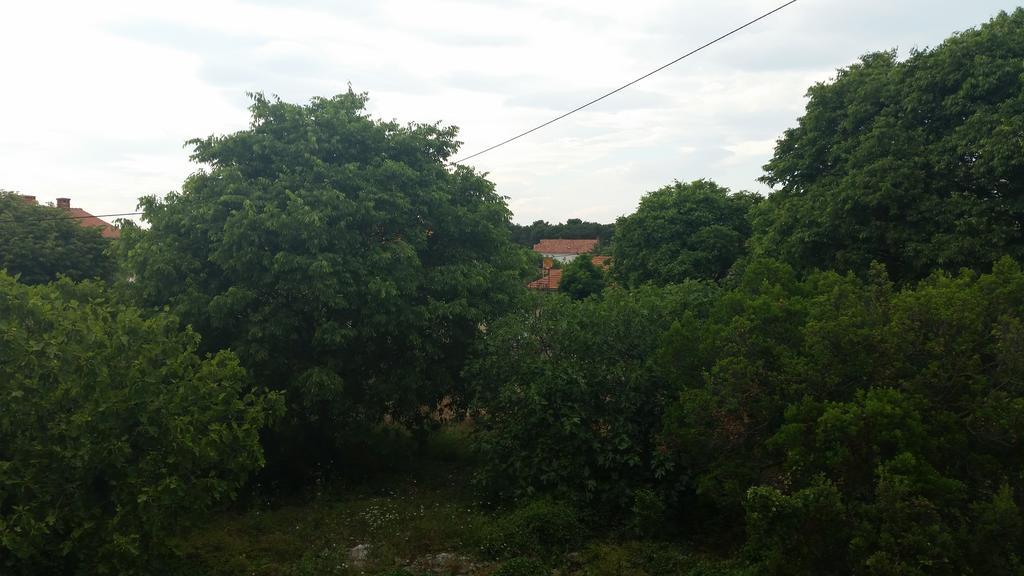 Apartments Lola Biograd Na Moru Exterior photo